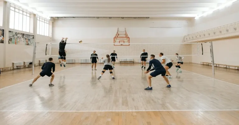 Positions in volleyball