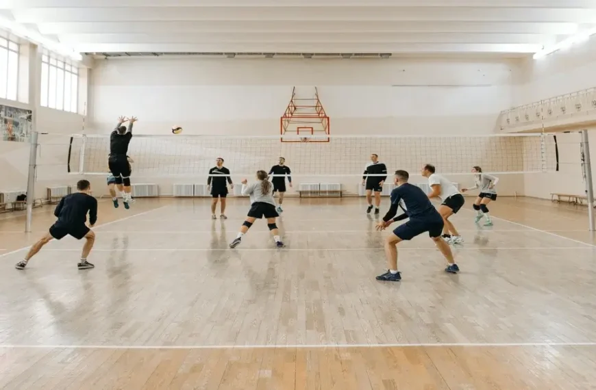 Positions in volleyball