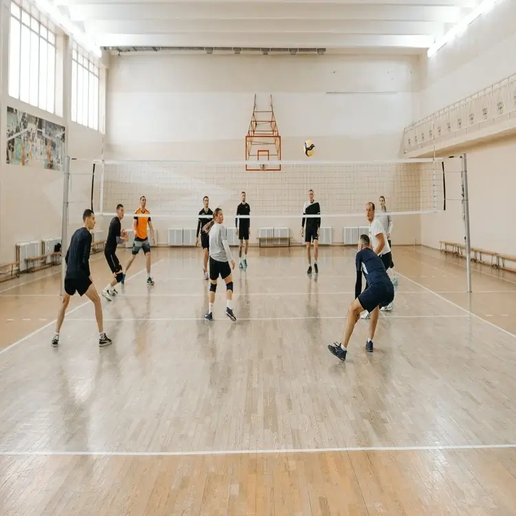 volleyball game indoor court